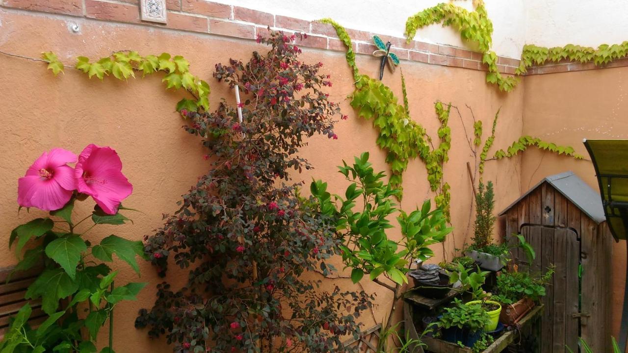 לינה וארוחת בוקר אלבי Autan Des Couleurs מראה חיצוני תמונה