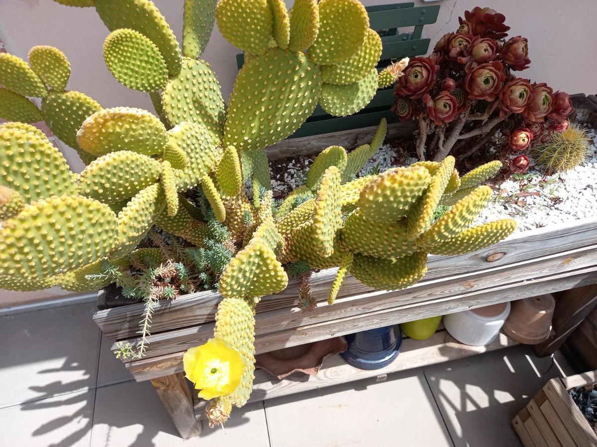 לינה וארוחת בוקר אלבי Autan Des Couleurs מראה חיצוני תמונה